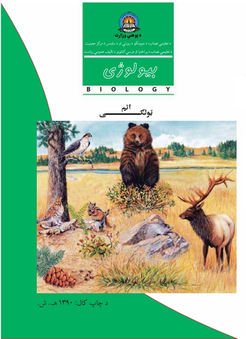 اتم ټولګی بيولوژي