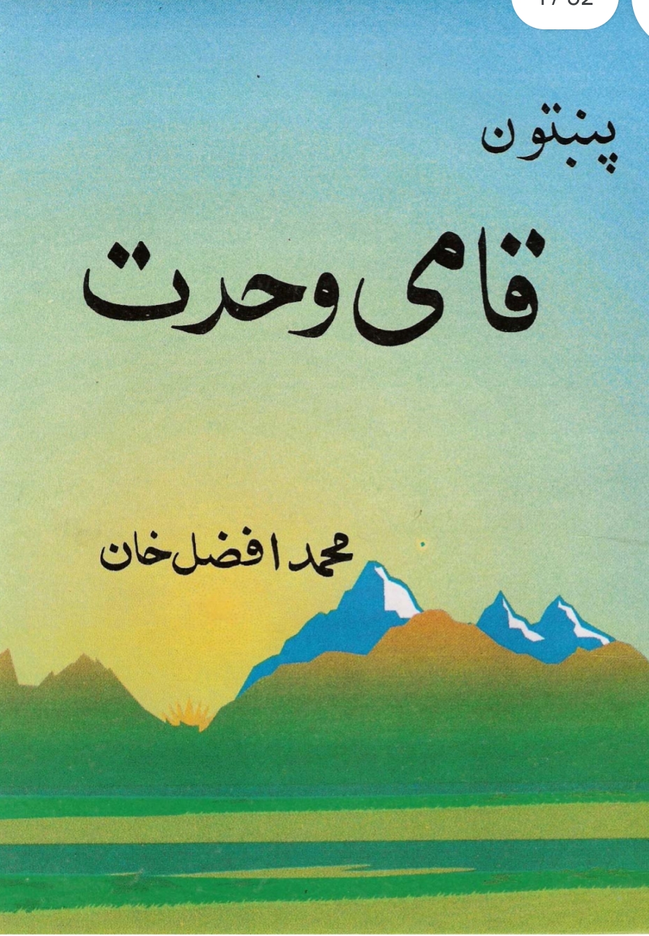 پښتو قامي وحدت