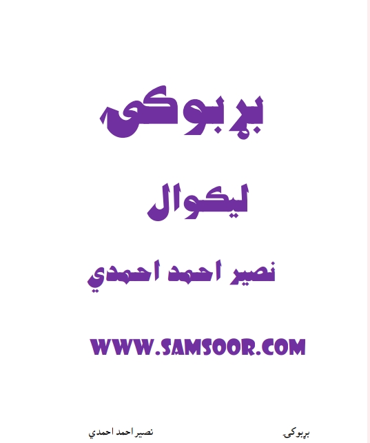 بړبوکۍ ناول