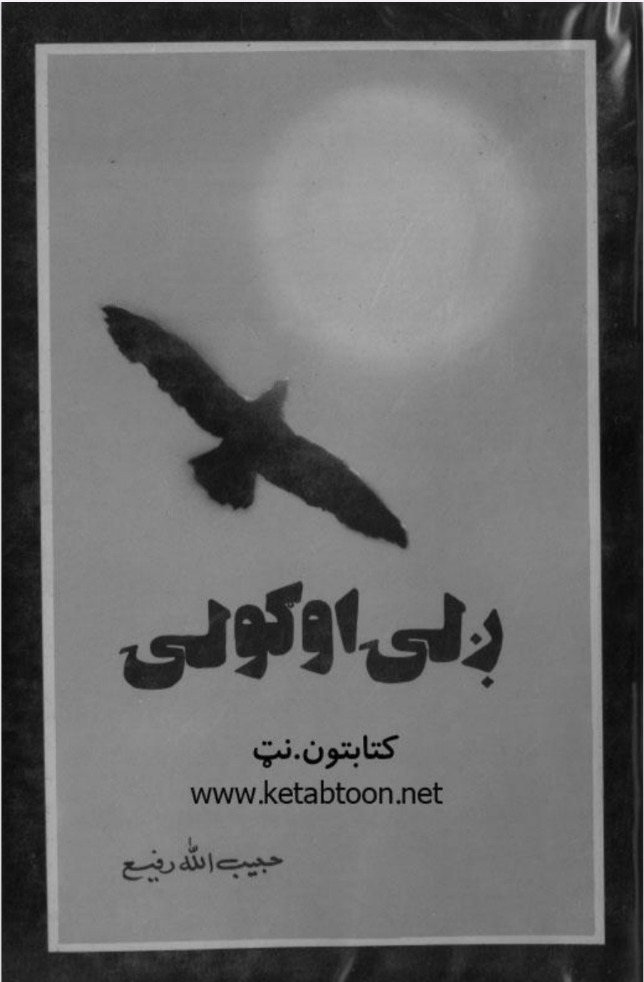 ږلۍ او ګولۍ