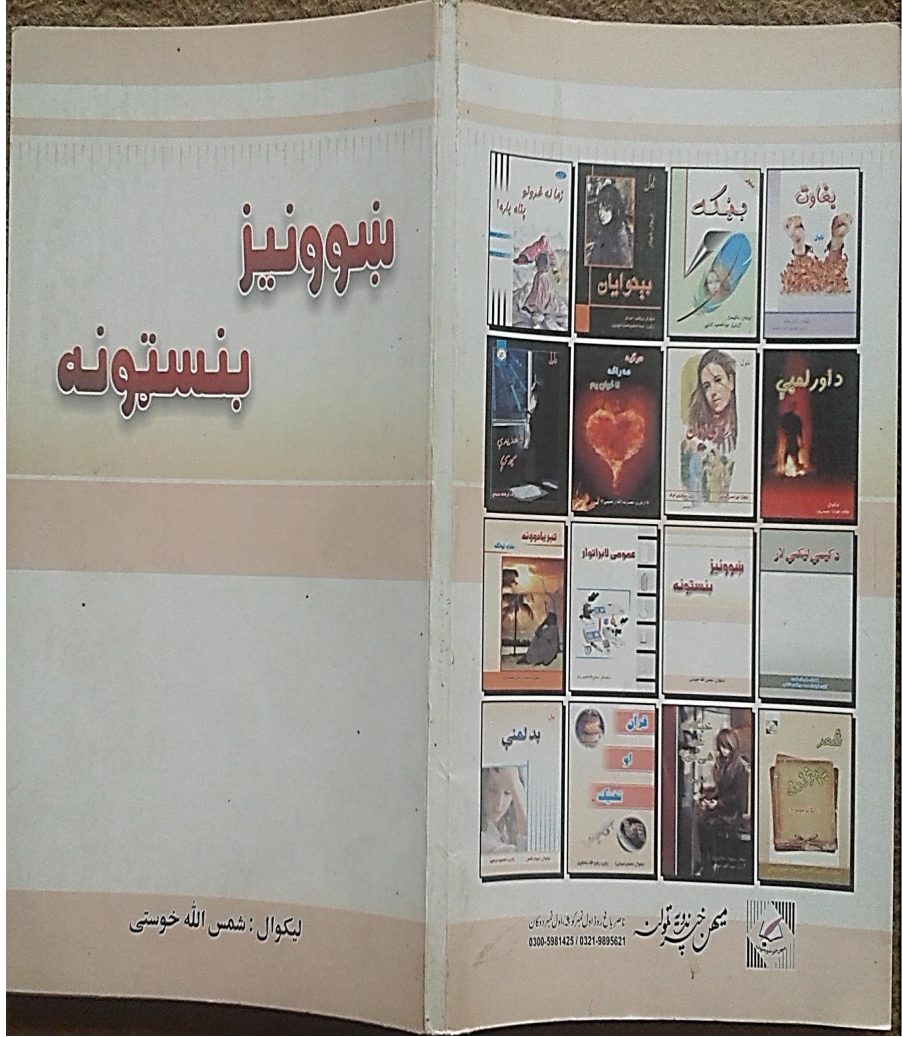 ښوونيز بنسټونه