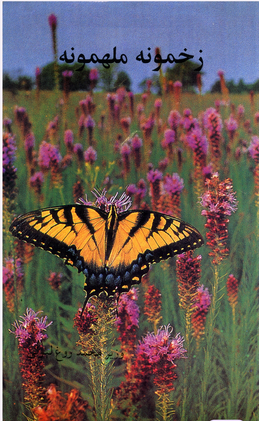 زخمونه ملهمونه