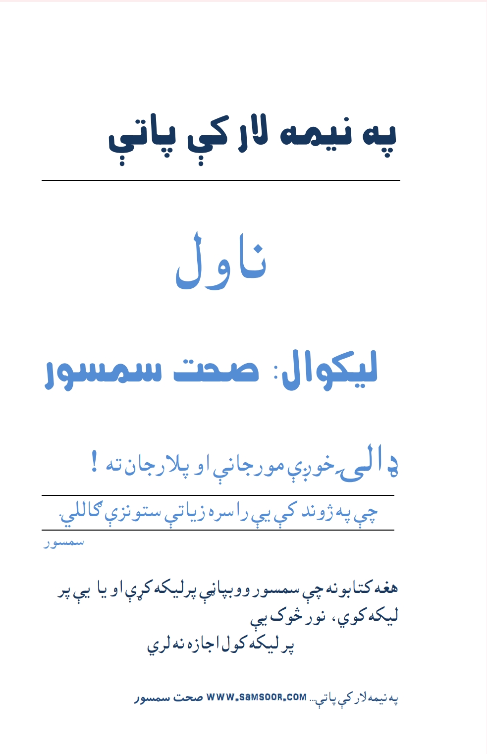 په نيمه لار کې پاتې - ناول