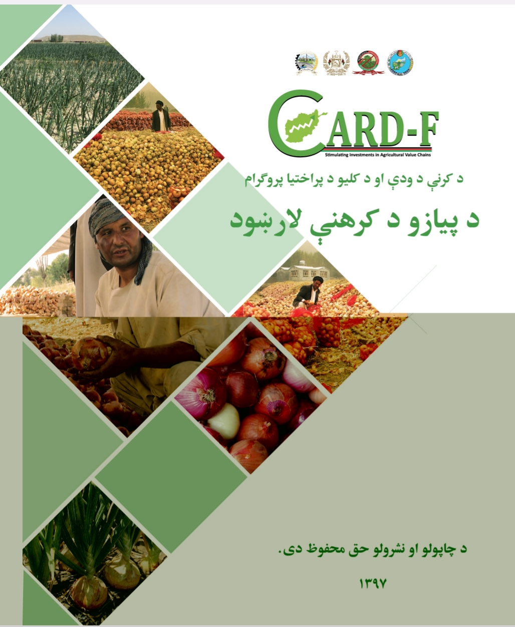 د پیازو د کرنې لارښود