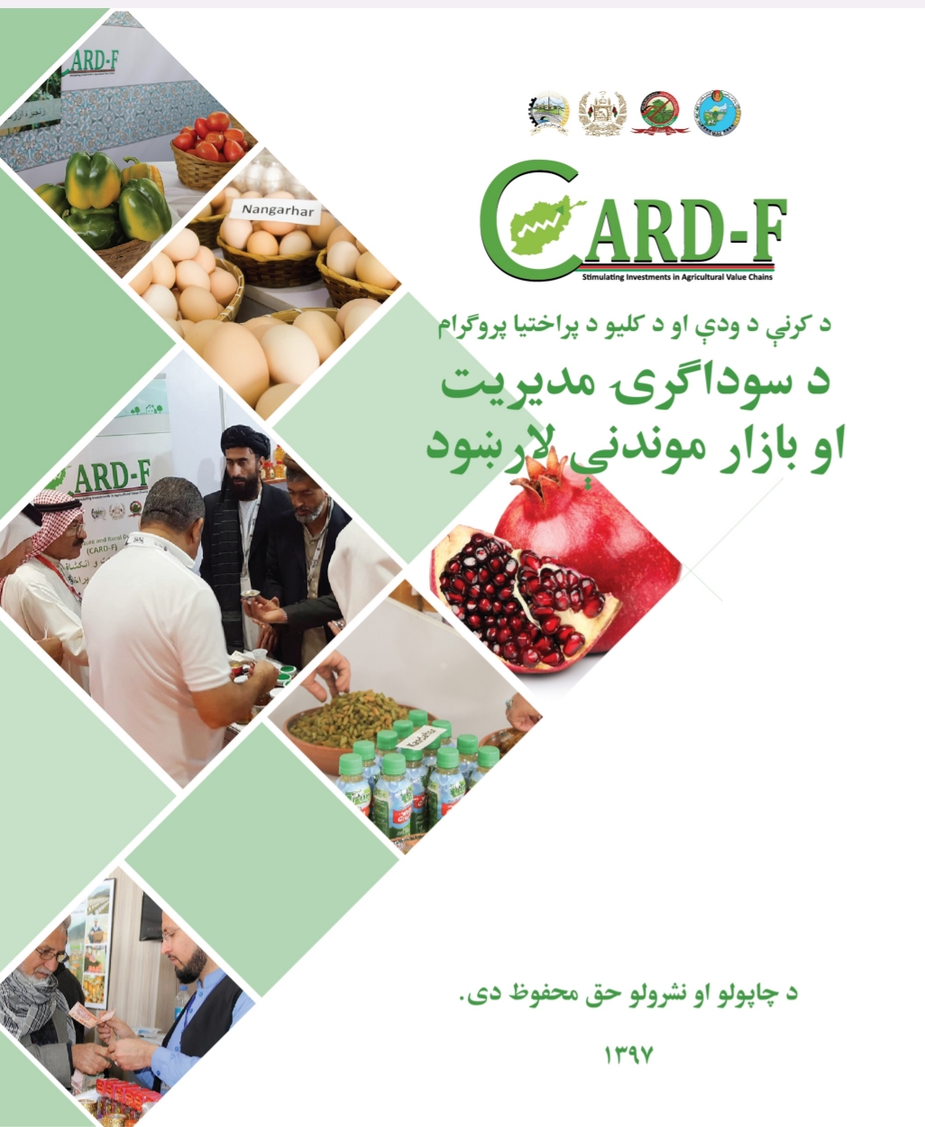 د سوداګرۍ مديريت او بازار موندنې لارښود