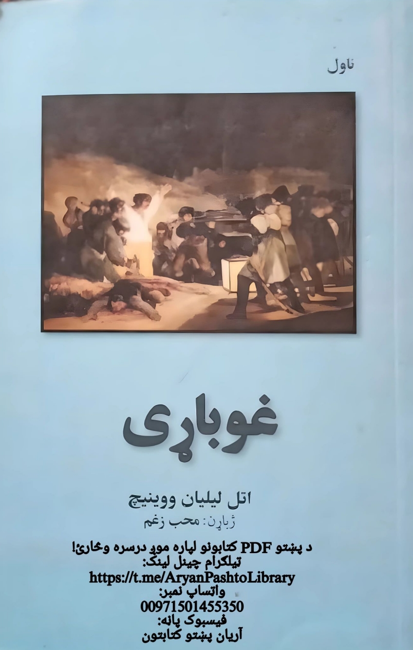 غوباړی ناول