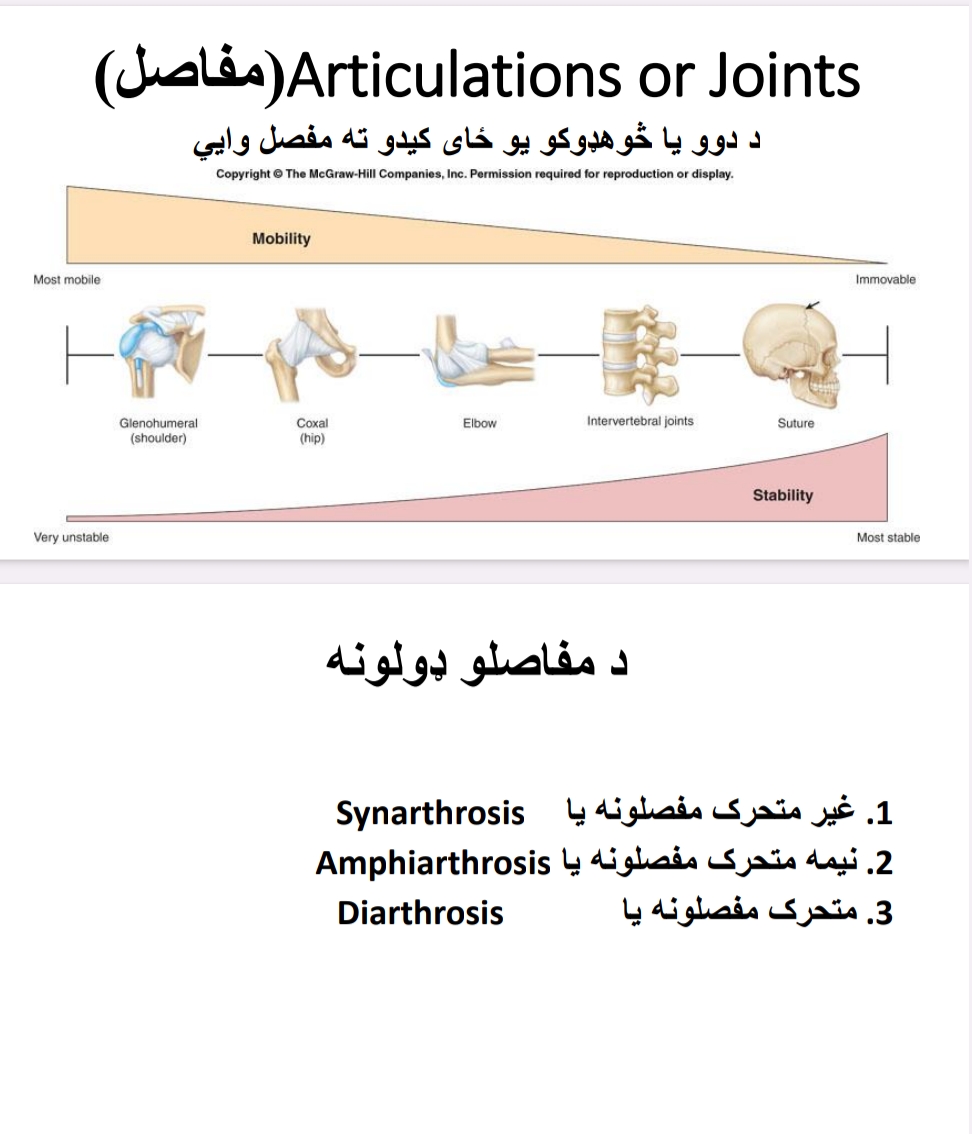 مفاصل
