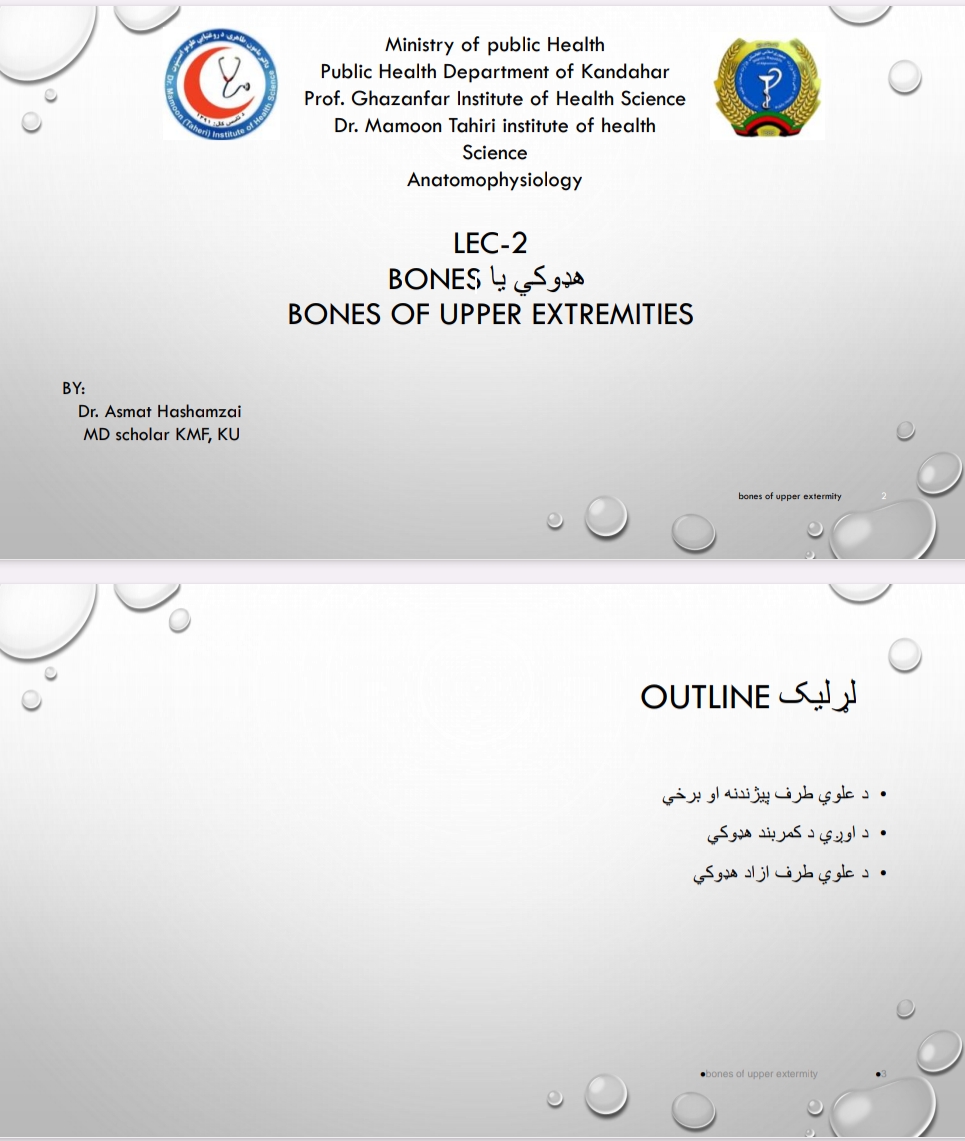 نباتات