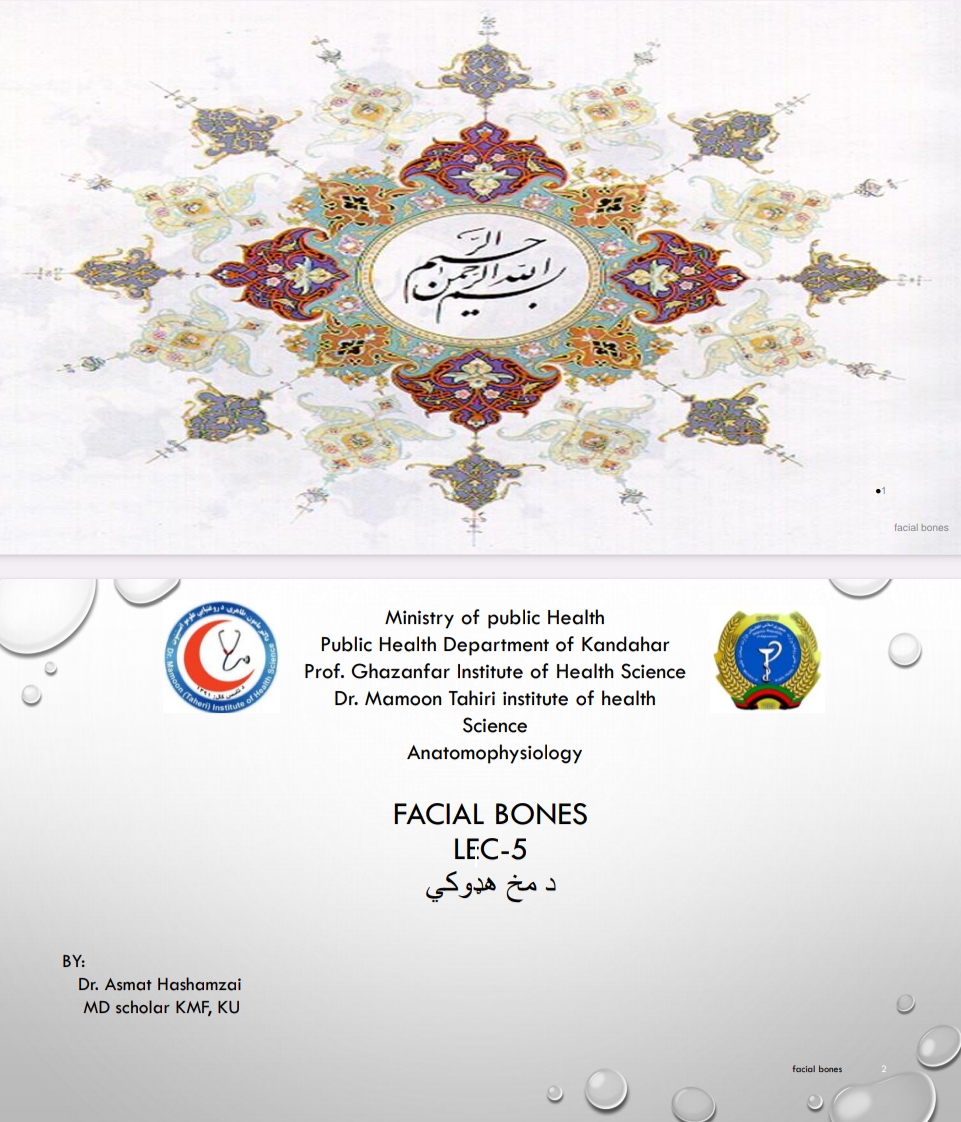 دمخ هډوکی