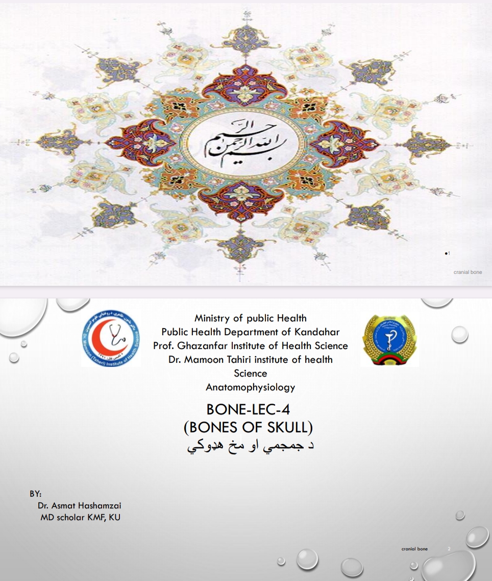 جمجمی یا دمخ هډوکی
