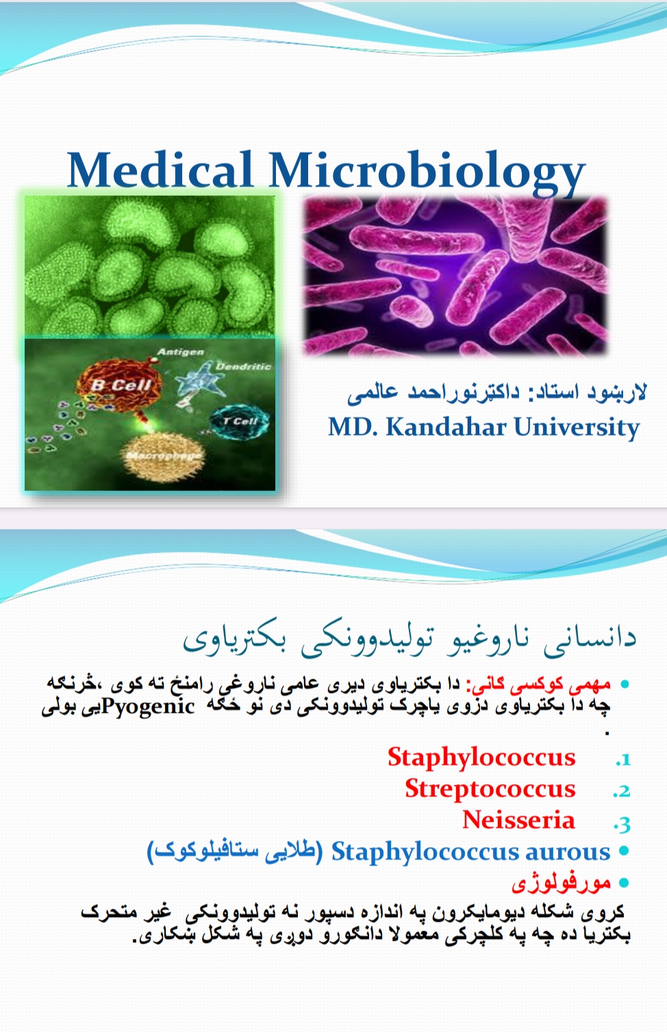 د انساني ناروغیو تولیدوونکي بکتریاوي