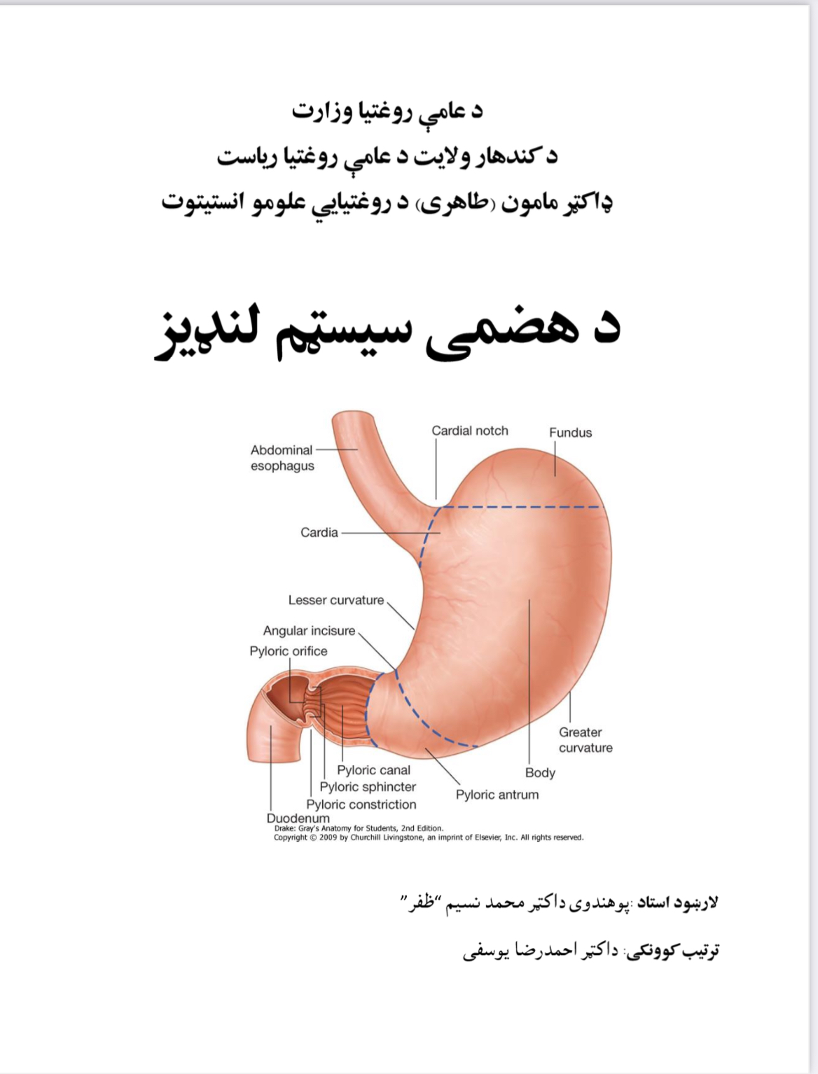 د هاضمی سیسټم لنډبز