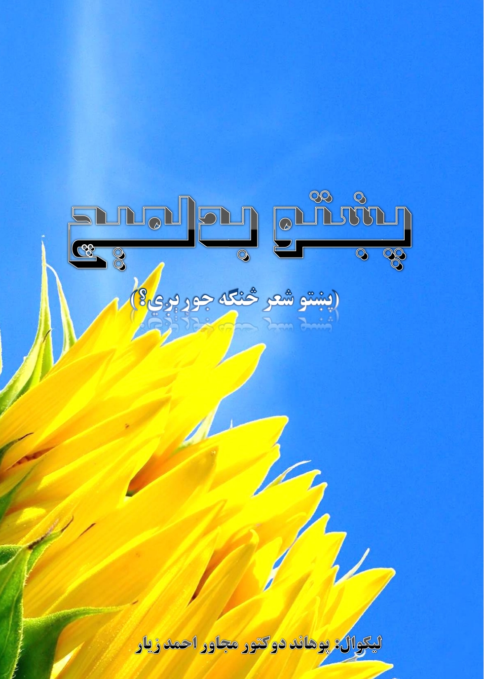 پښتو بدلمېچ