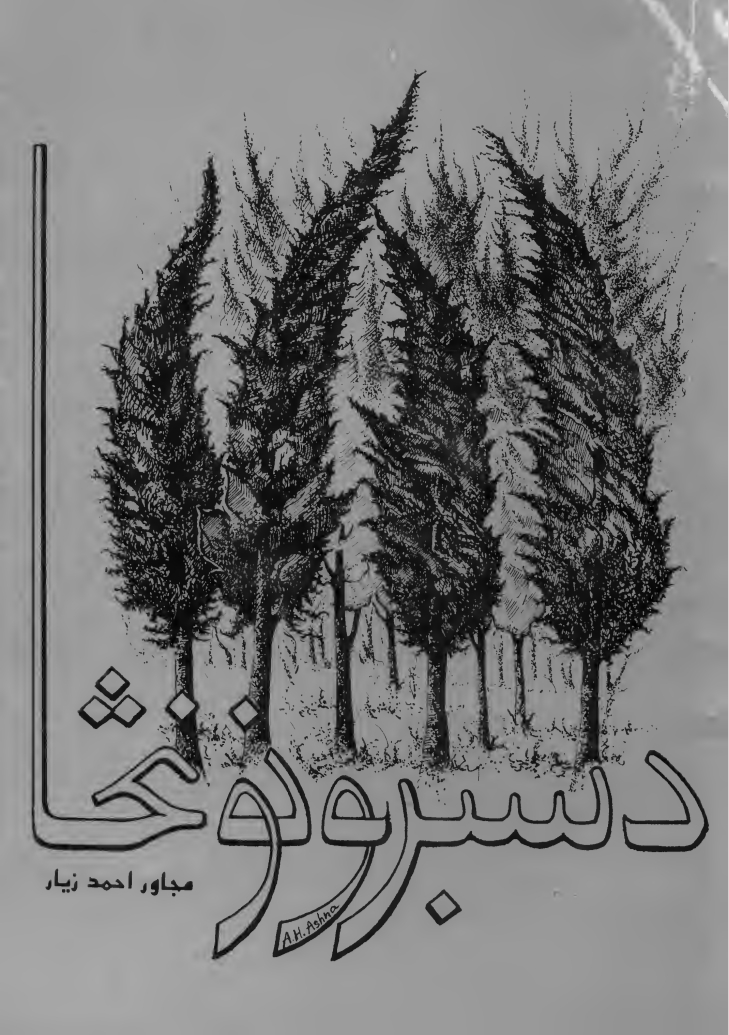 د سبرونو نڅا - ٢