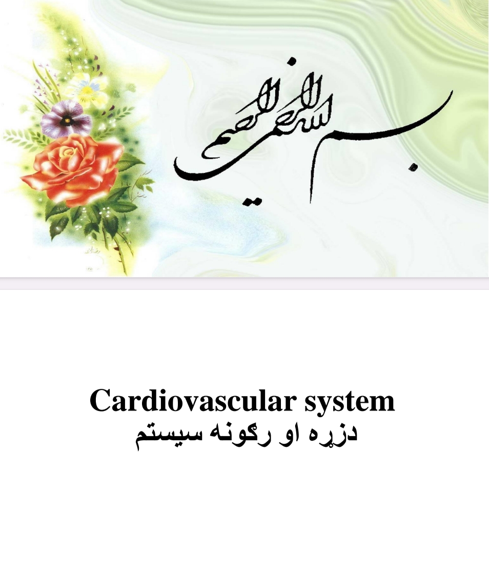 د زړه او رګونو سیسټم