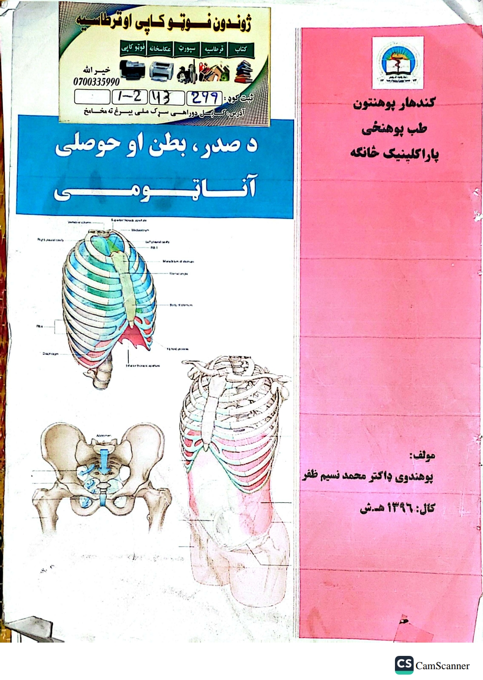 د صدر بطن او حوصلې اناټومي