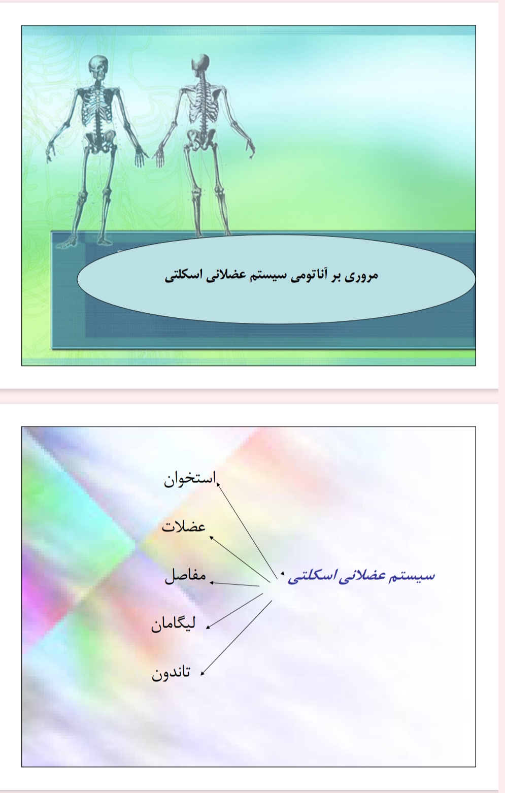 عضلات سکلیتی