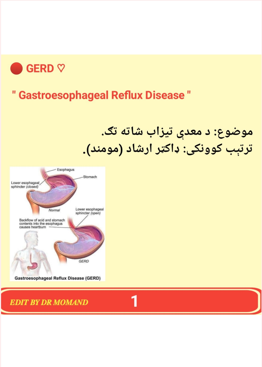 د معدې تیزاب شاته تګ