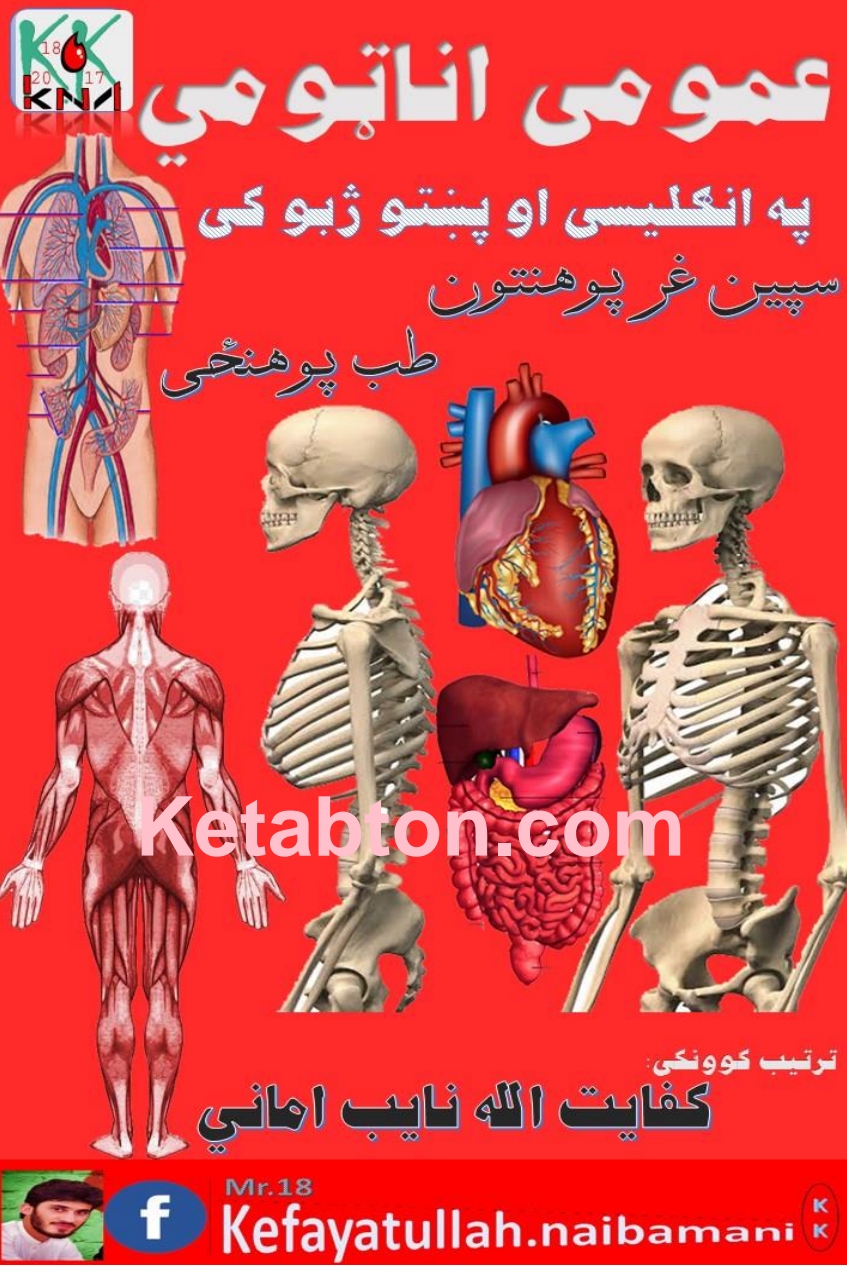 عمومی اناټومی