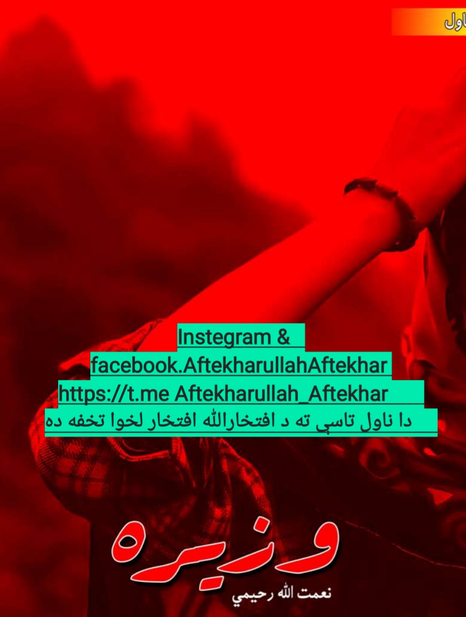 وزیره ناول