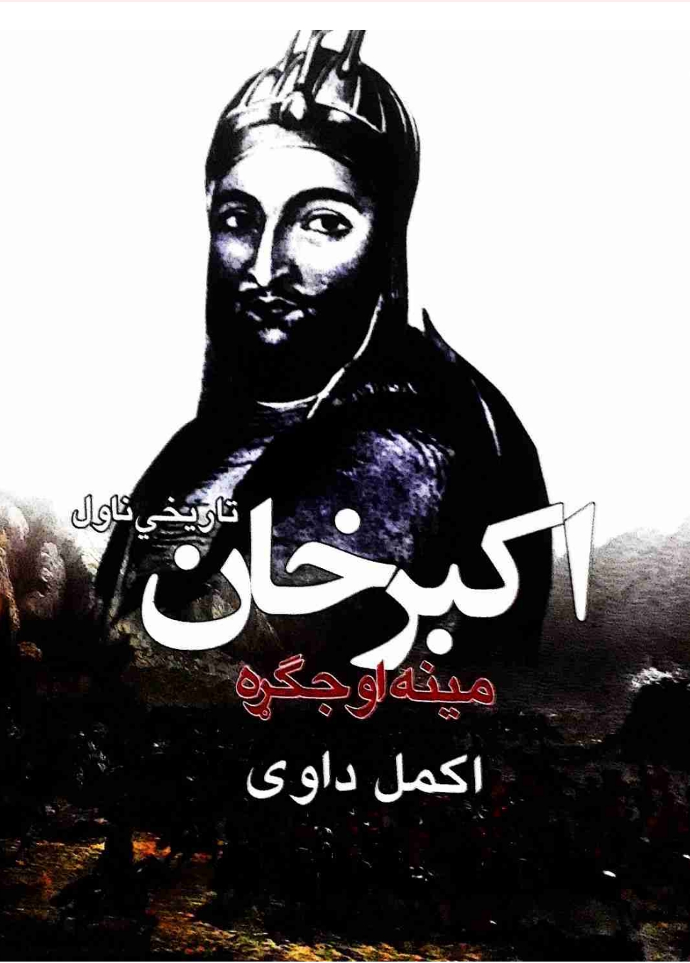 وزیر اکبر خان تاریخی ناول