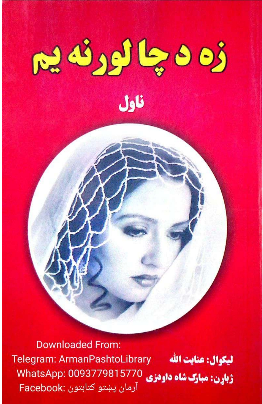 زه دچا لور نه يم ناول