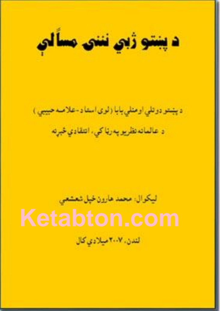 د پښتو ژبي ننۍ مسألې