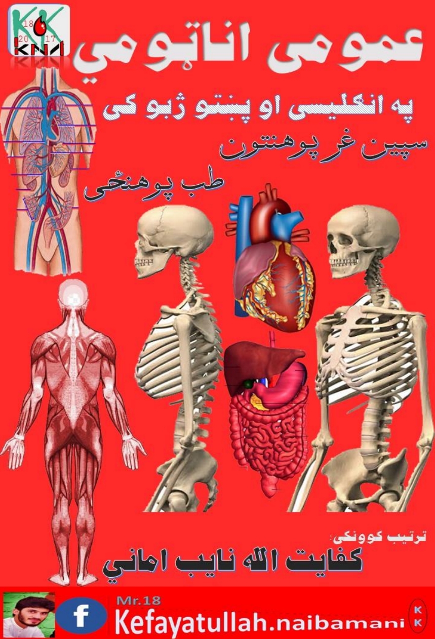 عمومي اناټومي