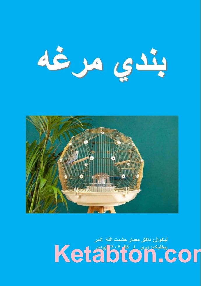 بندي مرغه