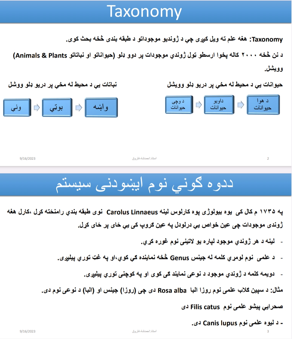 ټیکسونومي