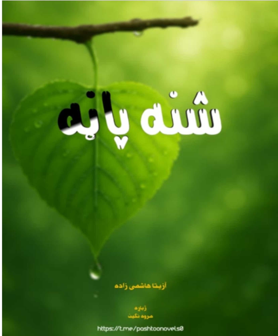 شنه پاڼه ناول