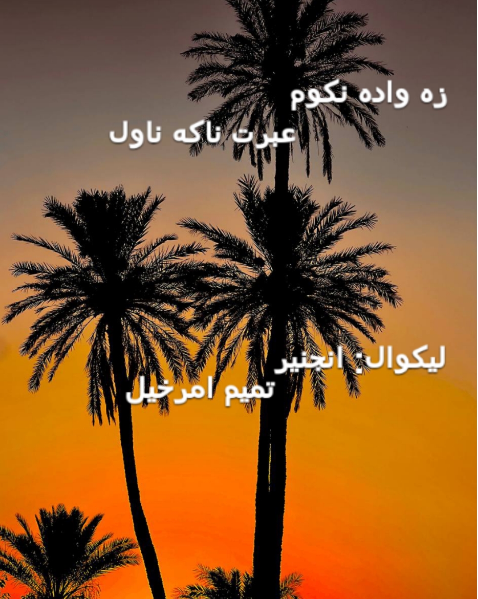 زه واده کوم