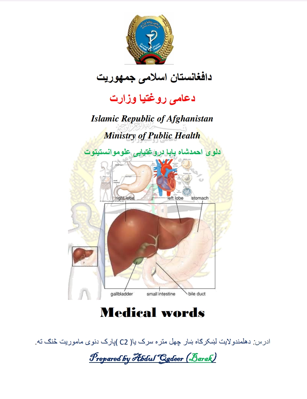 طبي لغاتونه
