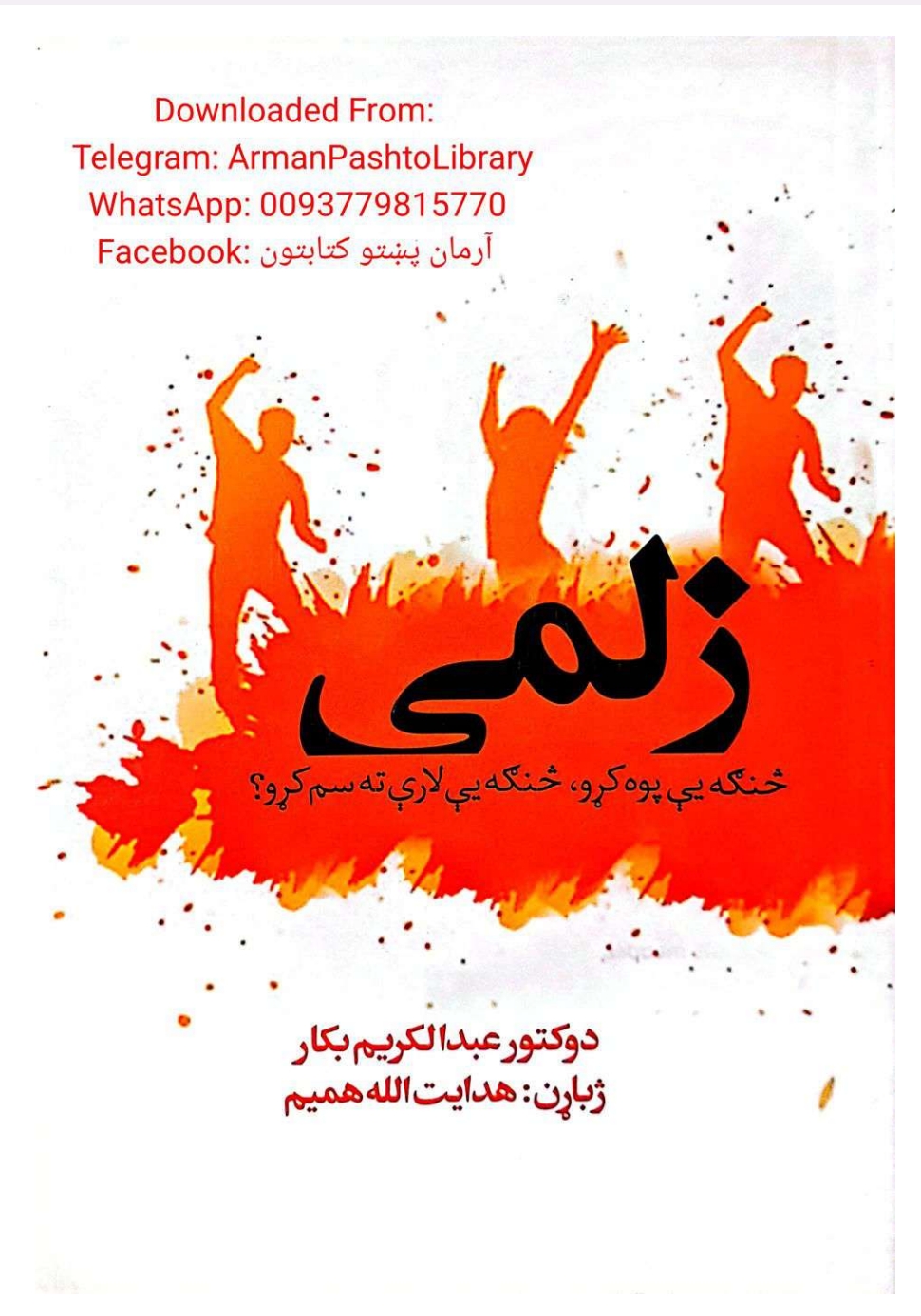 زلمی، څنګه ئې پوه کړو، څنګه ئې لاري ته سم کړو