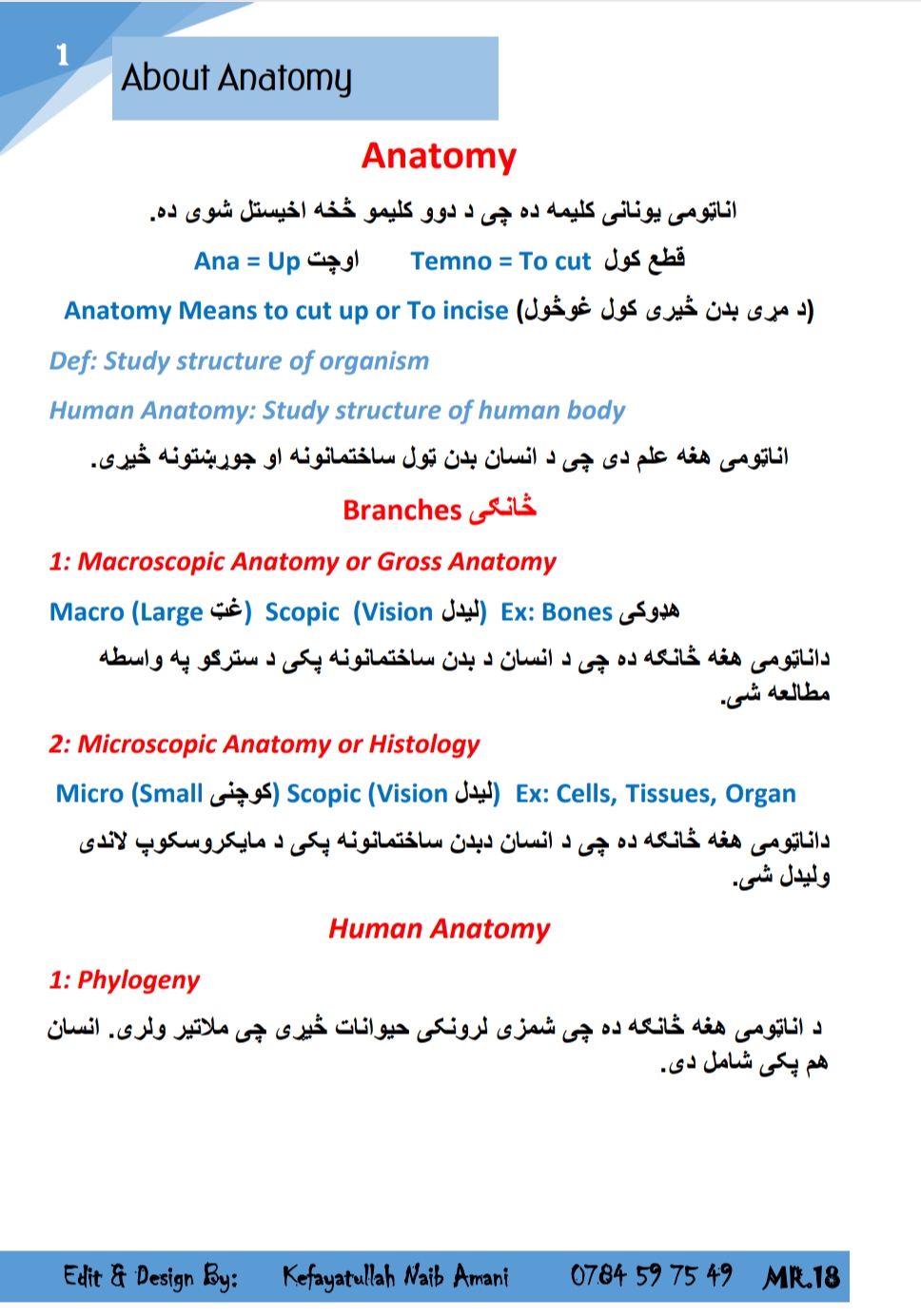 د هډوکو او عضلاتو اناټومي
