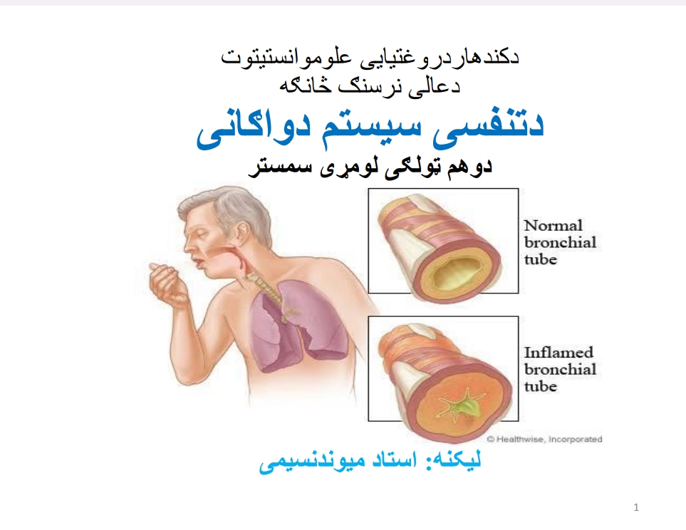 د تنفسي سیسټم دواګاني