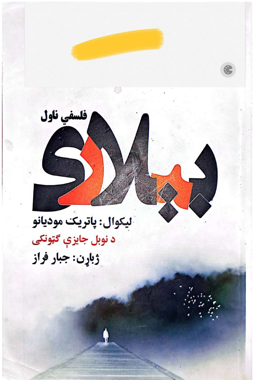 بېلاری فلسفي ناول