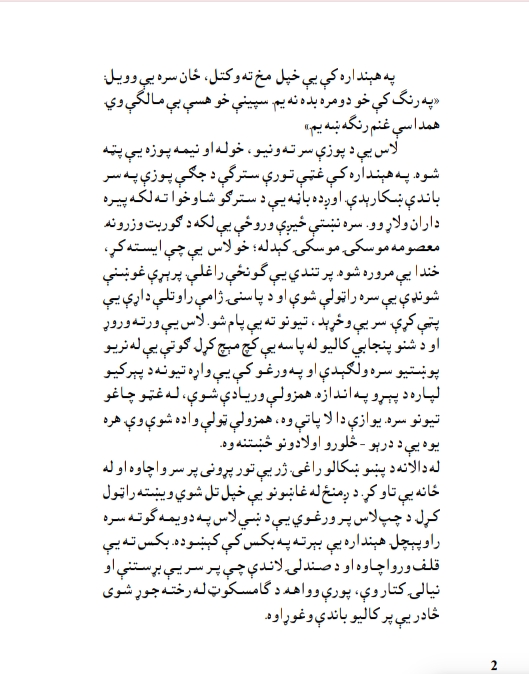 وېرونکی ناول