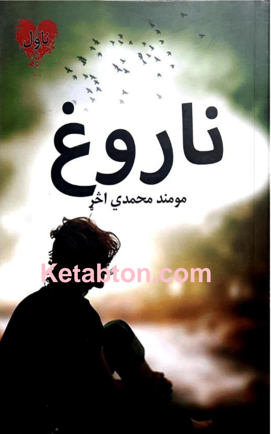 ناروغ ناول