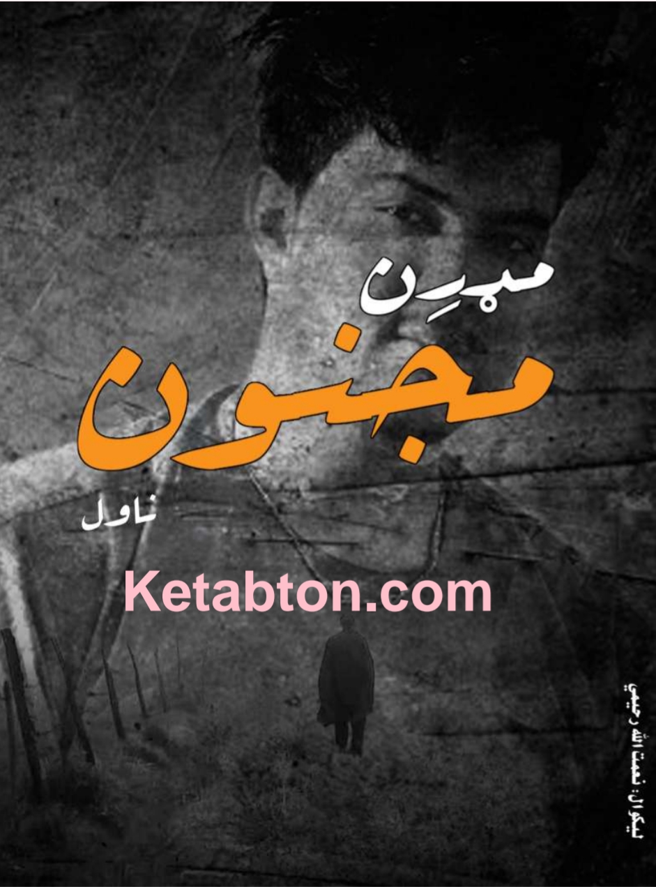 مُډرن مجنون ناول
