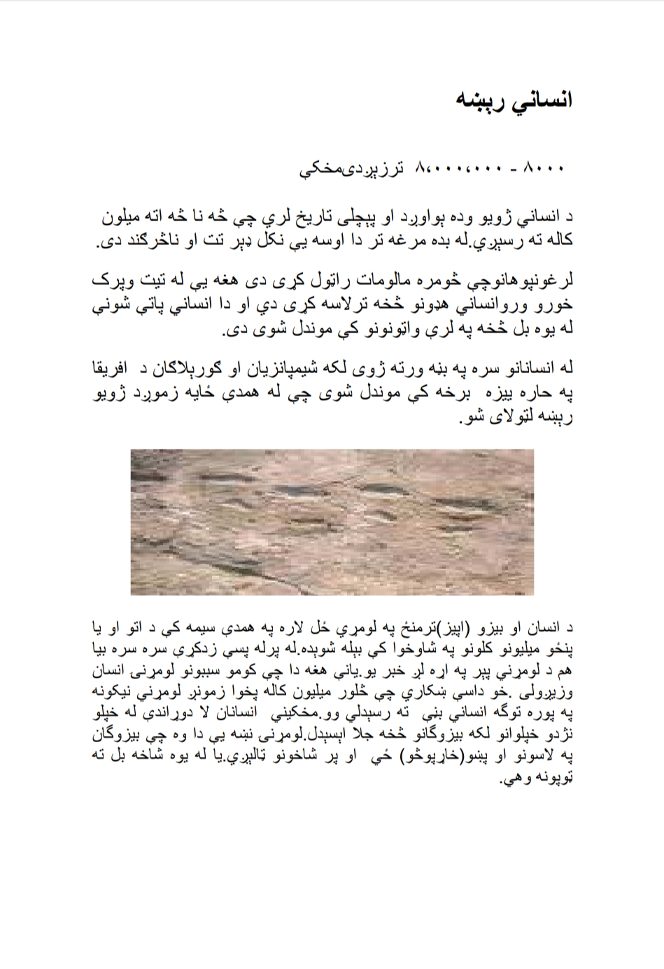 د نړۍ تاریخ