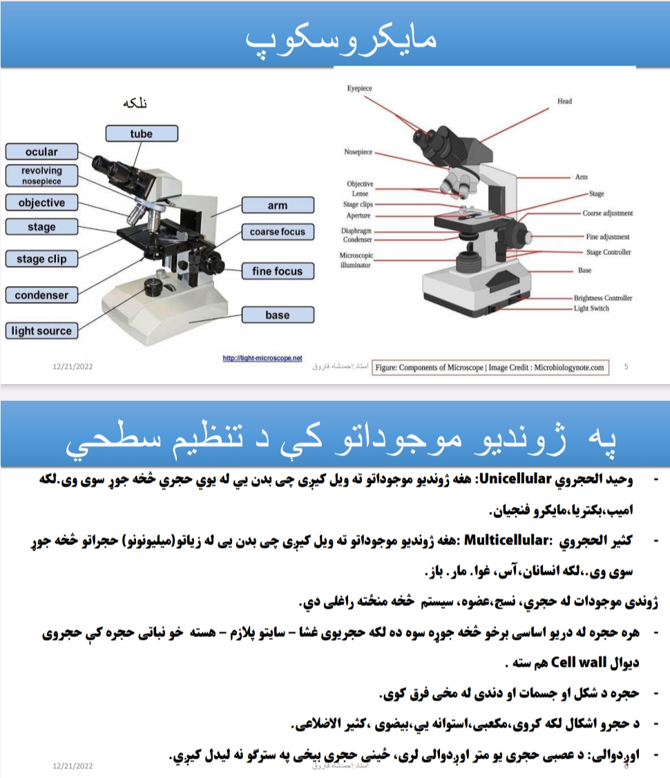 بیولوژيکي معلومات