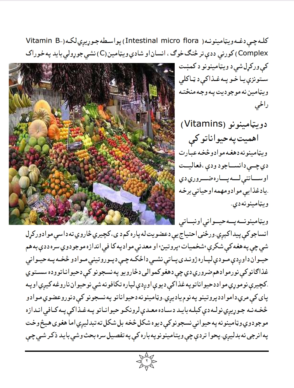د ويټامينونو تاریخچه