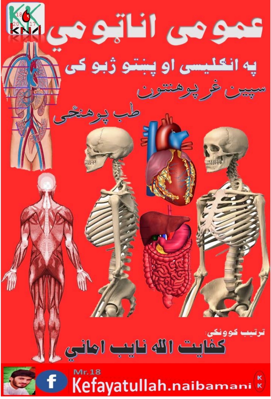 عمومي اناټومي په پښتو او انګلېسي ژبه
